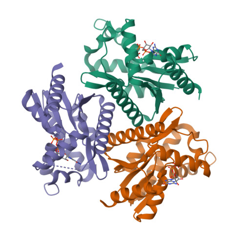 RCSB PDB 7OWJ Odinarchaeota Adenylate Kinase OdinAK In Complex