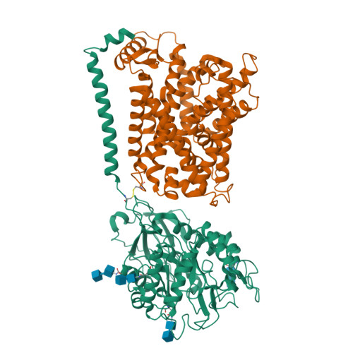 RCSB PDB 7P9V Cryo EM Structure Of System XC