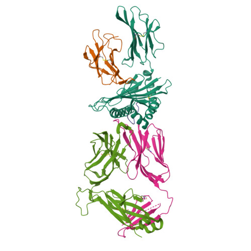 Rcsb Pdb Pb Crystal Structure Of Jdi Tcr In Complex With Hla A