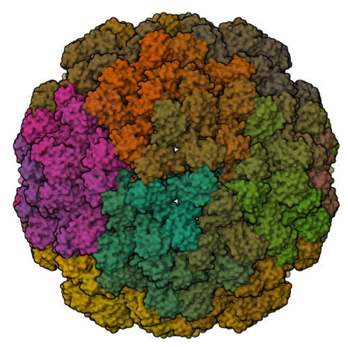 RCSB PDB 7PE1 Cryo EM Structure Of BMV Derived VLP Expressed In E