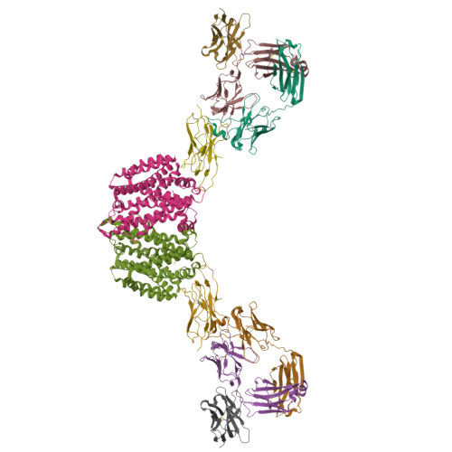 Rcsb Pdb Phq Structure Of Homo Dimeric Staphylococcus Capitis