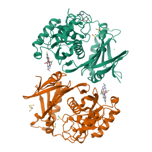 Rcsb Pdb Pol Crystal Structure Of Profragilysin Probft From