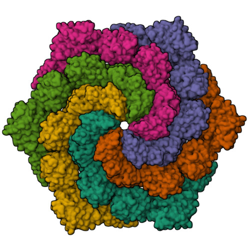 Rcsb Pdb Ptr Structure Of Hexameric S Layer Protein From Haloferax