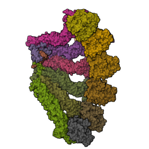 RCSB PDB 7QJ1 Structure Of The Recombinant Human Gamma Tubulin Ring