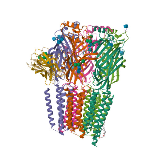 Rcsb Pdb Qn Cryo Em Structure Of Human Full Length Extrasynaptic