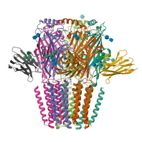 Rcsb Pdb Qn Cryo Em Structure Of Human Full Length Beta Delta Gaba