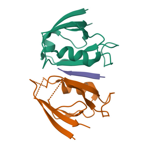 RCSB PDB 7QSA Structural Basis On The Interaction Of Scribble PDZ