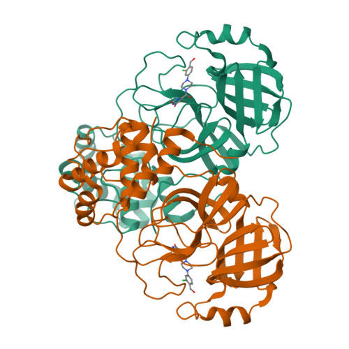 RCSB PDB 7RNK Room Temperature X Ray Structure Of SARS CoV 2 Main