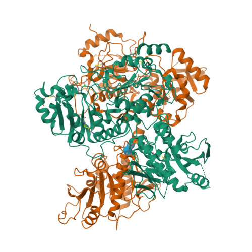 Rcsb Pdb Sch Cryo Em Structure Of The Human Exostosin And