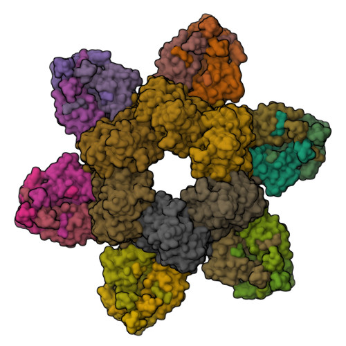 RCSB PDB 7SG7 In Situ Cryo EM Structure Of Bacteriophage Sf6 Gp8