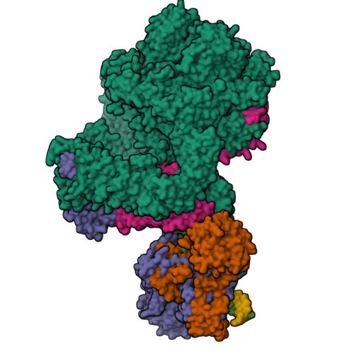 RCSB PDB 7SGL DNA PK Complex Of DNA End Processing