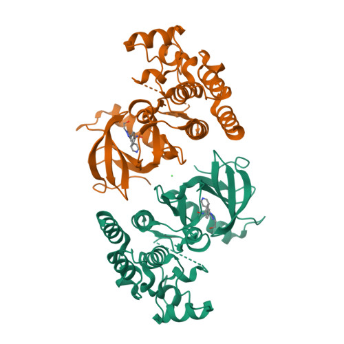 RCSB PDB 7SHV Crystal Structure Of BRAF Kinase Domain Bound To GDC0879