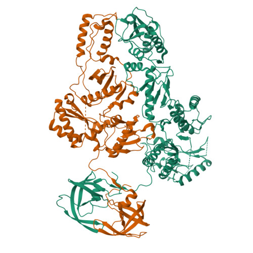 Rcsb Pdb Sjx Cryo Em Structure Of The Pr Rt Components Of The Hiv