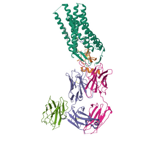 Rcsb Pdb Sk Cryo Em Structure Of Human Ackr In Complex With