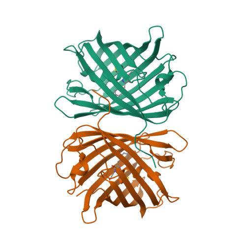 Rcsb Pdb Swt Crystal Structure Of The Chromoprotein Eforred