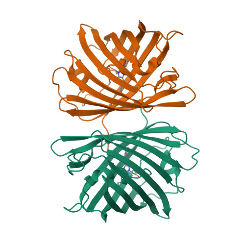 RCSB PDB 7SWU Crystal Structure Of The Chromoprotein SpisPINK