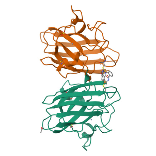 RCSB PDB 7T8H G93A Mutant Of Human SOD1 Bound With MR6 26 2 In P21