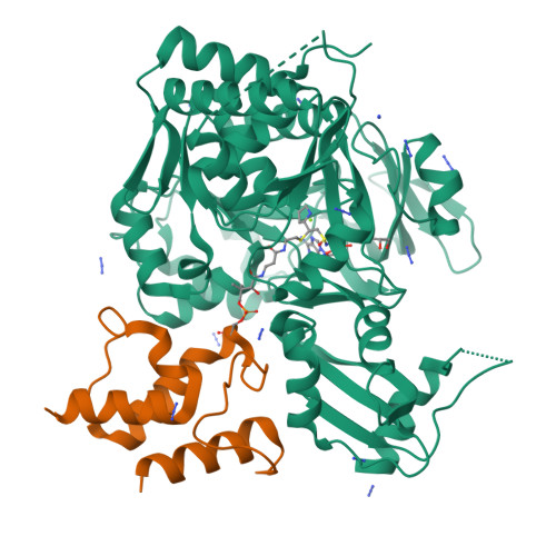 RCSB PDB 7THN Crystal Structure Of PigI Trapped With PigG Using A