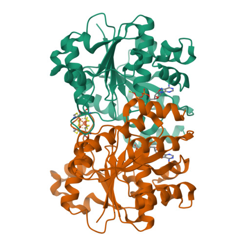 Rcsb Pdb Tpz Selenium Free Nitrogenase Fe Protein Av From A