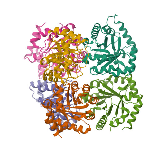 Rcsb Pdb U Y Crystal Structure Of Ribulose Phosphate Epimerase