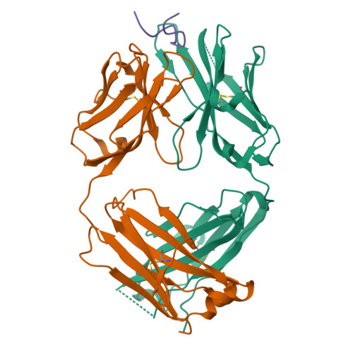 Rcsb Pdb Um Crystal Structure Of A Fab In Complex With A Peptide