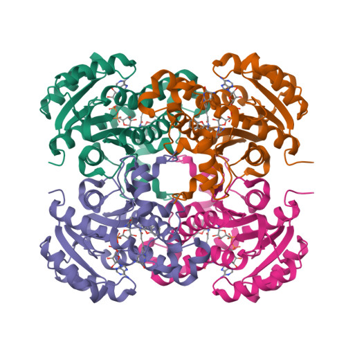 Rcsb Pdb Um Crystal Structure Of E Coli Fabi In Complex With Nad