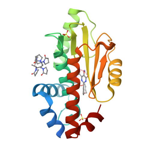 RCSB PDB 7UMR The Crystal Structure Of Wild Type PA Endonuclease