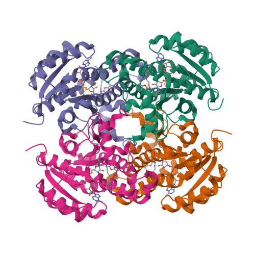 RCSB PDB 7UMX Crystal Structure Of Acinetobacter Baumannii FabI In