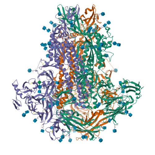 Rcsb Pdb Usa Structure Of The Human Coronavirus Ccov Hupn