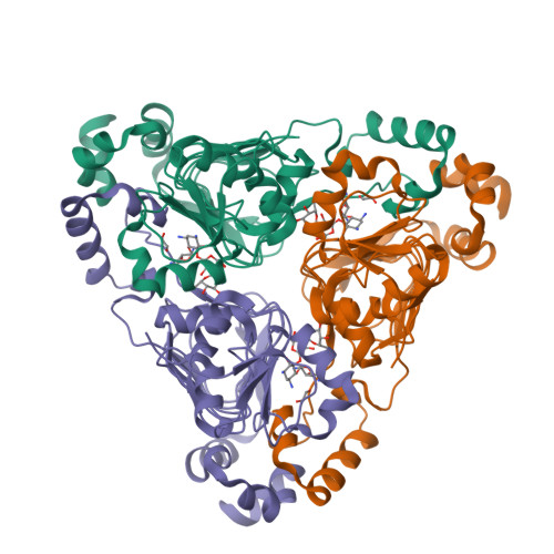 Rcsb Pdb Uun Crystal Structure Of Aminoglycoside Resistance Enzyme