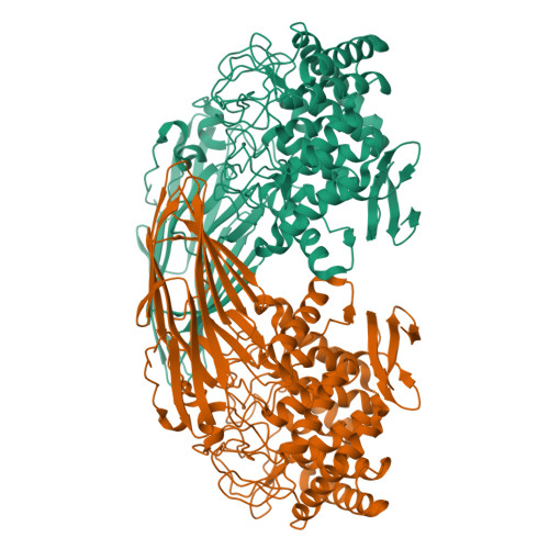 RCSB PDB 7VMA The X Ray Crystallographic Structure Of Amylo Alpha 1