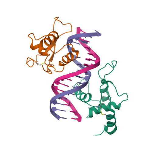 Rcsb Pdb Vov The Crystal Structure Of Human Forkhead Box Protein In