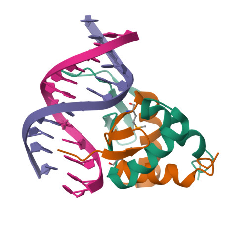 RCSB PDB 7VP1 Structure Of A Transcription Factor And DNA Complex