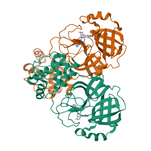 RCSB PDB 7VU6 The Crystal Structure Of SARS CoV 2 3CL Protease In