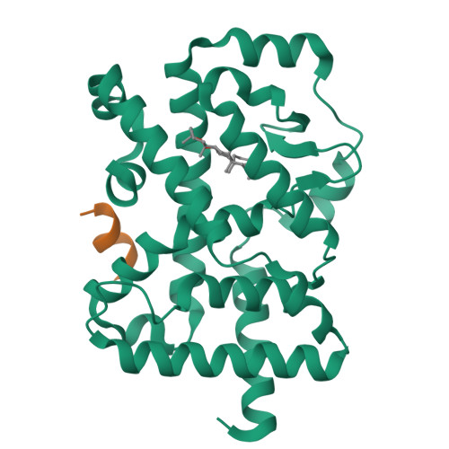 Rcsb Pdb W P Crystal Structure Of Rorgamma In Complex With Natural