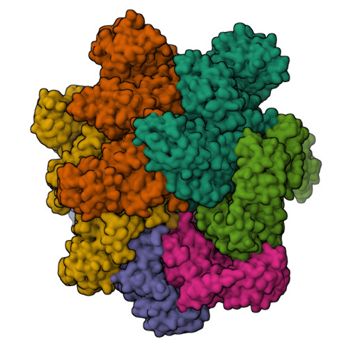 RCSB PDB 7WBB Cryo EM Structure Of Substrate Engaged Drg1 Hexamer