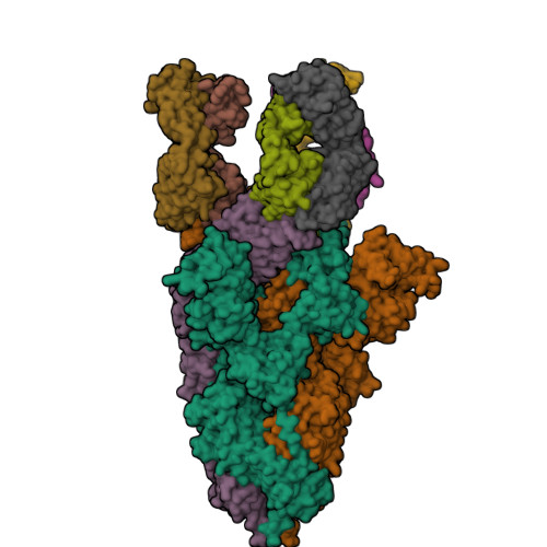 RCSB PDB 7WCD Cryo EM Structure Of SARS CoV 2 Spike In Complex With