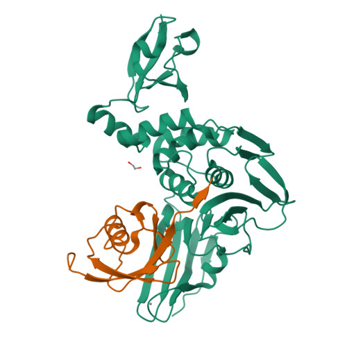 Rcsb Pdb Wfc X Ray Structure Of Hku Plp Cys Ser Catalytic