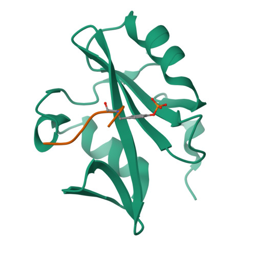 Rcsb Pdb Wfy Crystal Structure Of The Vav Sh Domain In Complex