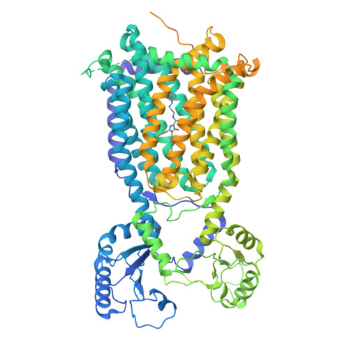 RCSB PDB 7WNX Cryo EM Structure Of Mycobacterium Smegmatis MmpL3