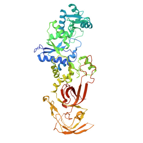 Rcsb Pdb Wru Crystal Structure Of The Apo Chicken Glutamyl Trna