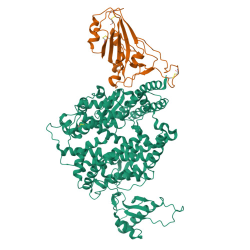 Rcsb Pdb Wsf Cryo Em Structure Of Sars Cov Spike Receptor Binding