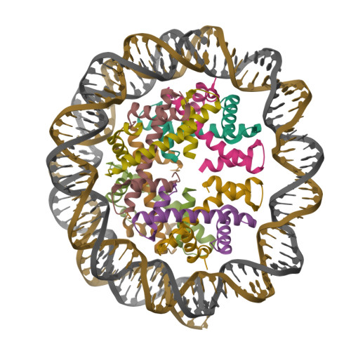 Rcsb Pdb X Cryo Em Structure Of Human Subnucleosome Open Form