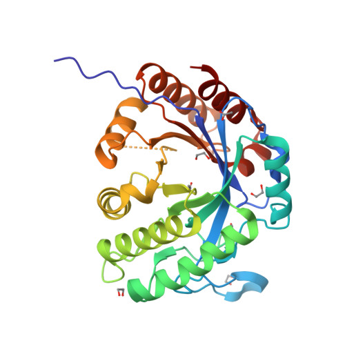 Rcsb Pdb Xmh Crystal Structure Of A Rice Class Iiib Chitinase Oschib