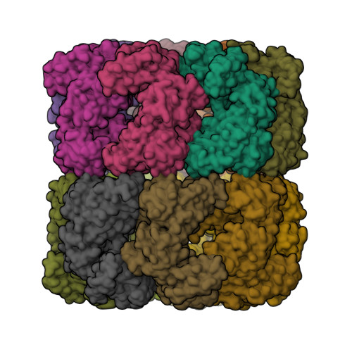 Rcsb Pdb Xoj Cryo Em Structure Of Groel Bound To Unfolded Substrate