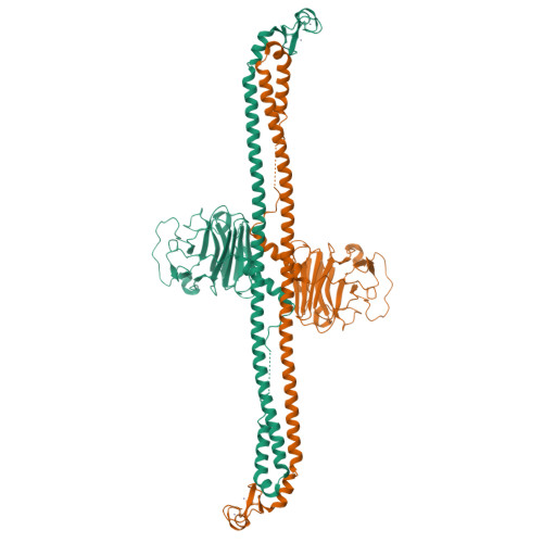 Rcsb Pdb Xv Trim E Ubiquitin Ligase