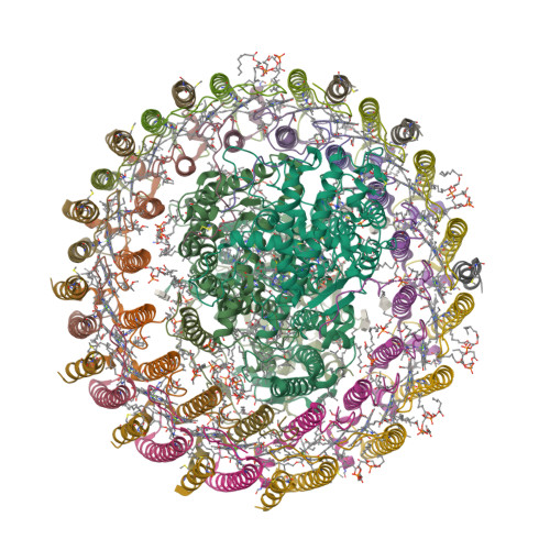 RCSB PDB 7XXF Structure Of Photosynthetic LH1 RC Super Complex Of