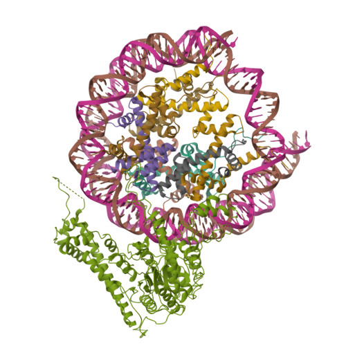 RCSB PDB 7XYG Cryo EM Structure Of Fft3 Nucleosome Complex With Fft3