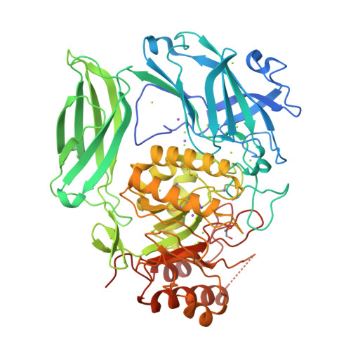 RCSB PDB 7XYR Cystal Structure Of Beta Glucuronidase From