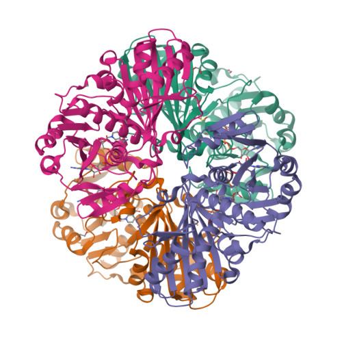 RCSB PDB 7XZG High Resolution Crystal Structure Of Glyceraldehyde 3